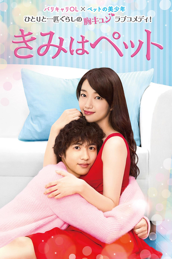 Poster de Franquia きみはペット (2017)