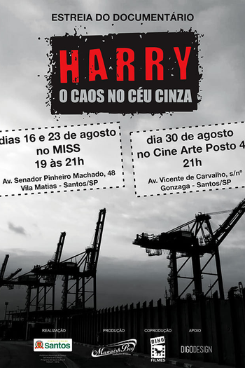 Poster de Filme Harry: O Caos no Céu Cinza (2019)