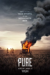 Pure (2ª Temporada) - Poster / Capa / Cartaz - Oficial 2