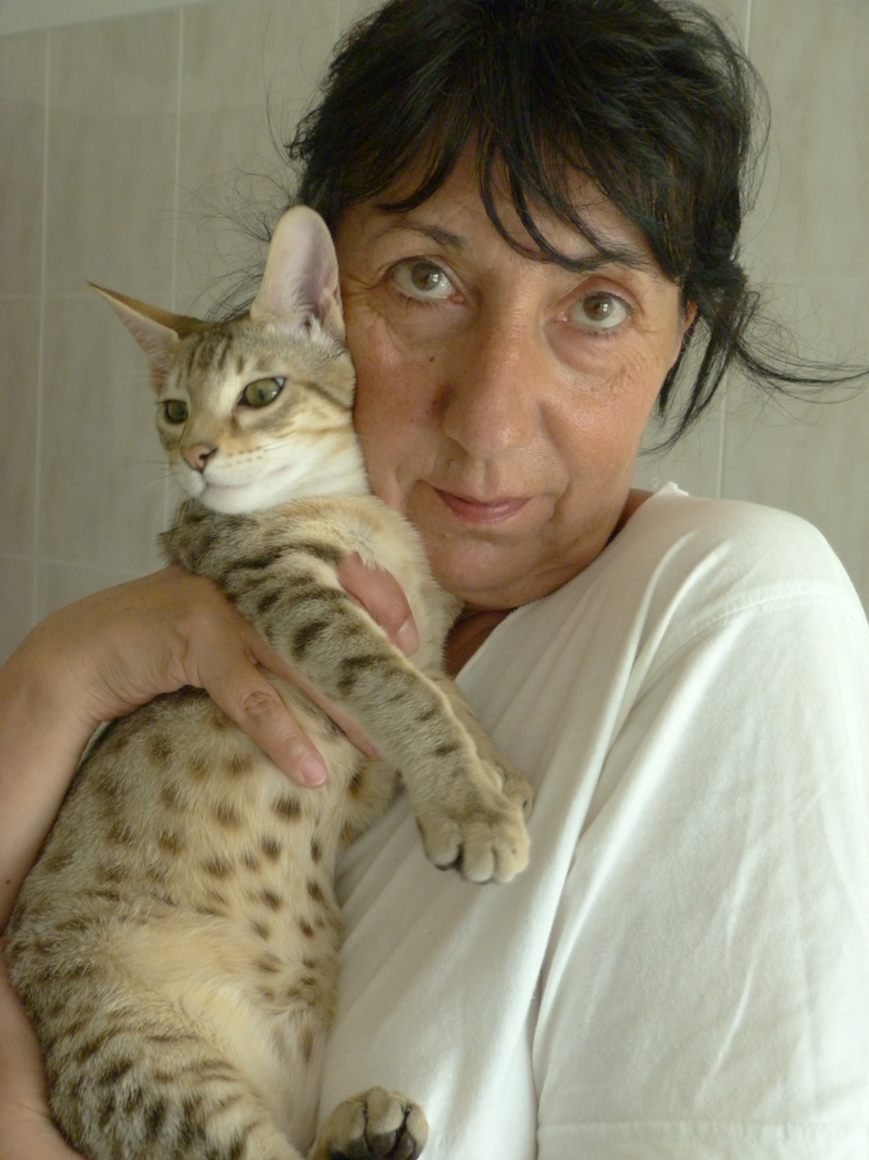 isaefe - Foto 1