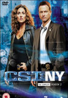 CSI: Nova Iorque (2ª Temporada) (CSI: NY (Season 2))