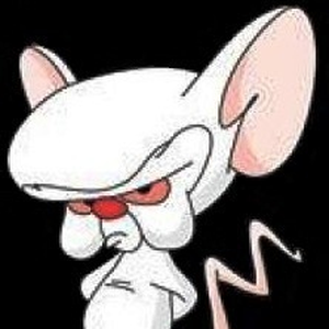 Foto de perfil de Volmir