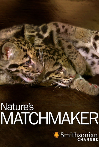 Poster 1 de Filme Nature's Matchmaker (2019)