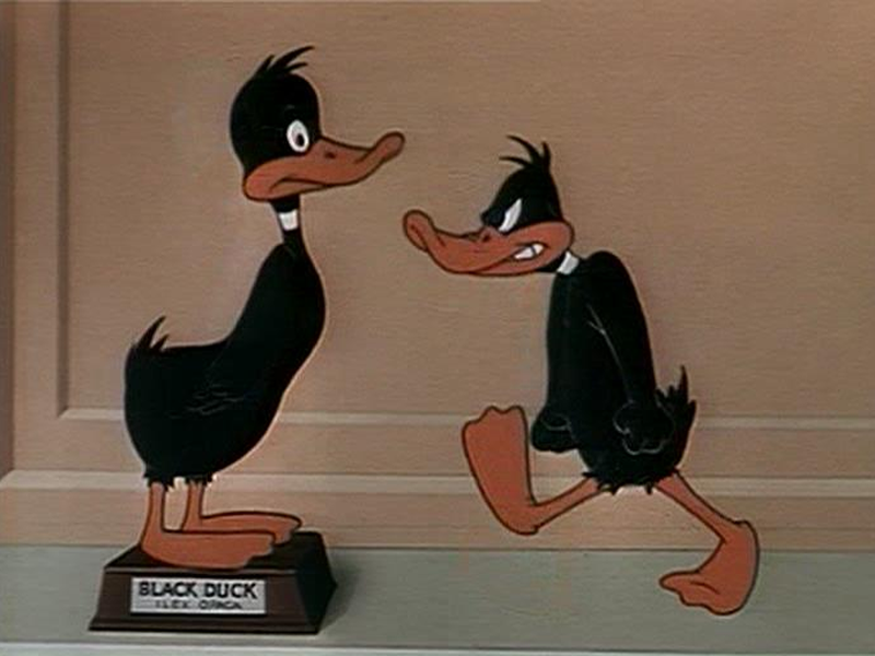 Foto 1 de Pato Espatifado