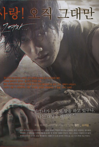 Poster 6 de Filme Sempre, Só Você (2011)