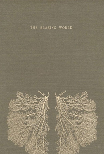 The Blazing World - Poster / Capa / Cartaz - Oficial 2
