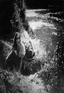 Mulheres da Beira (Mulheres da Beira)