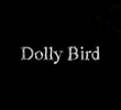 Dolly Bird