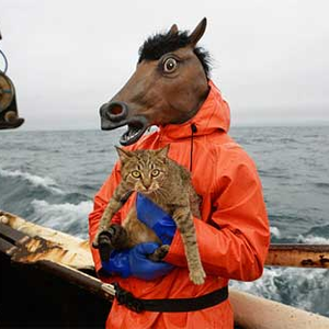 Foto de perfil de Thiago