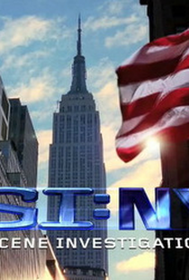 CSI: Nova Iorque (8ª Temporada) - Poster / Capa / Cartaz - Oficial 3