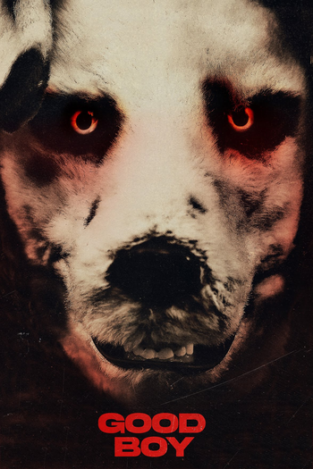  de Filme Bom Garoto (2022)