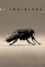 Invisível D.J  - IRA! (Invisível D.J  - IRA!)