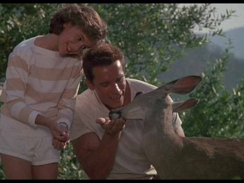 Foto 8 de Comando Para Matar