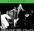 Driving Me Crazy