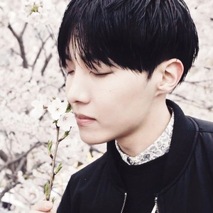Foto de perfil de serendipity