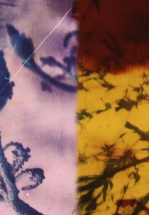 Harbour City (Harbour City)