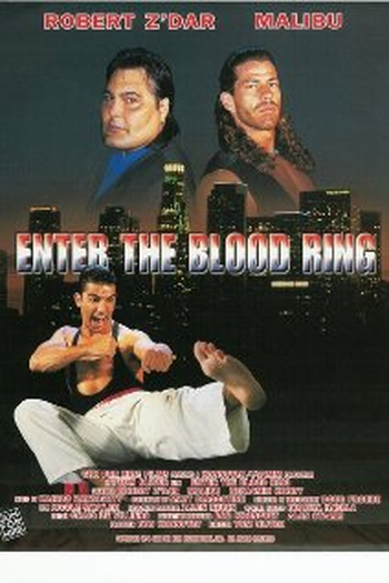 Poster de Filme Ringue de Sangue (1995)