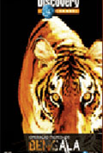 Operação Tigres de Bengala  - Poster / Capa / Cartaz - Oficial 1