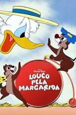 Louco pela Margarida (Crazy Over Daisy)