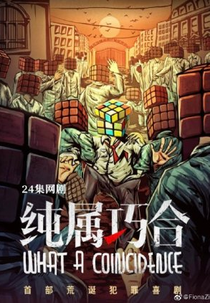 What a Coincidence (纯属巧合)