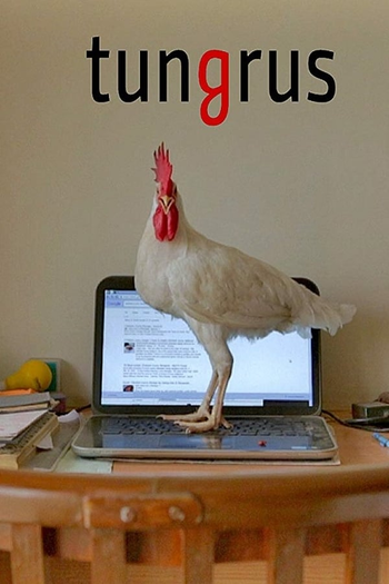  de Curta Tungrus (2018)