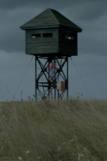 Hipóteses e Predições Baseadas em Teorias (O Ipoteze sau predictii bazate pe teorii)