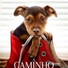 Crítica: A Caminho de Casa (“A Dog’s Way Home”) | CineCríticas