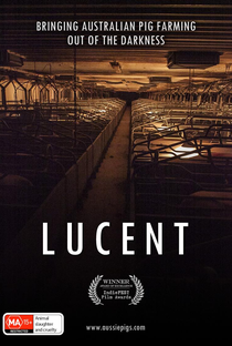 Lucent - Poster / Capa / Cartaz - Oficial 2