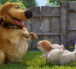 Puppies