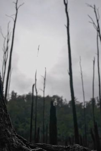 Poster de Episódio The Storm (2023)