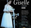 Giselle 