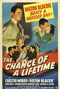 The Chance of a Lifetime - Poster / Capa / Cartaz - Oficial 1