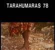 Tarahumaras 78