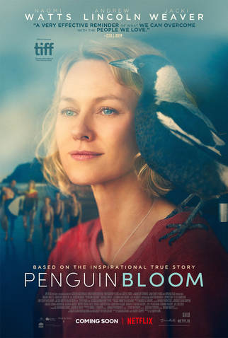 Poster 1 de Filme Um Milagre Inesperado (2020)