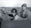The Captain's Mission
