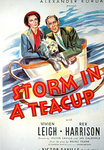 Tempestade em Copo D'água (Storm in a Teacup)