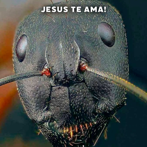 Foto de perfil de eduardo pedro