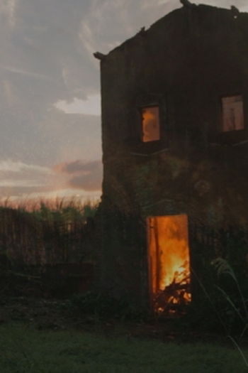  de Curta Púrpura (2012)