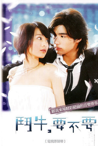 Poster 8 de Série Bull Fighting (2007)