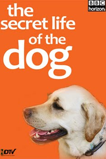 Poster de Filme A Vida Secreta dos Cachorros (2009)