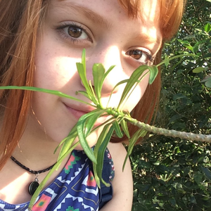 Foto de perfil de Maria Fernanda Accioli