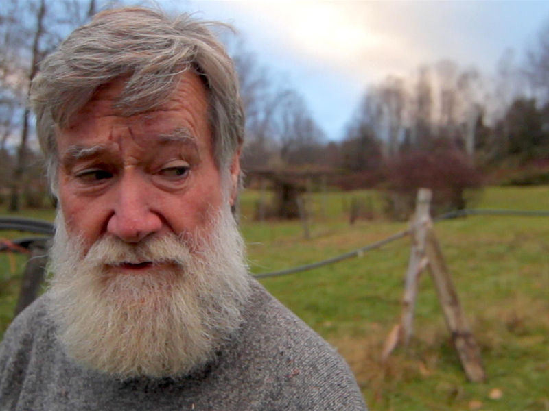 Foto 1 de Peter and the Farm