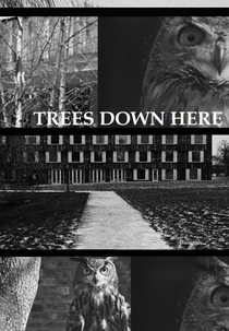 Trees Down Here (Trees Down Here)