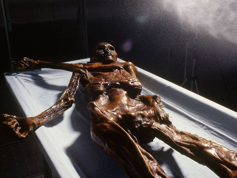 Foto 4 de Iceman Reborn