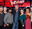Live Top 24 Eliminations