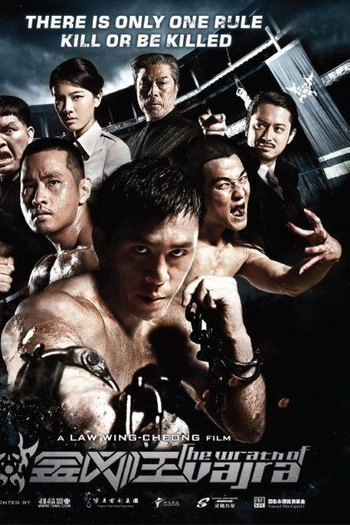  de Filme A Fúria de Vajra (2013)