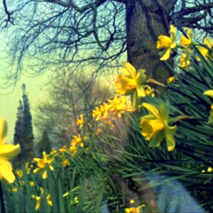 Foto de perfil de Aline Gonçalves