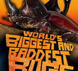 World's Biggest and Baddest Bugs