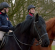 Trading Horses