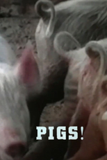 Pigs! (Pigs!)